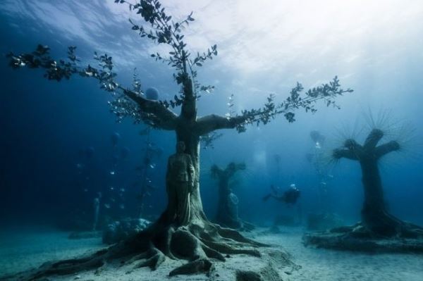 На Кипре открылся MUSAN – первый в своем роде подводный лес для дайверов